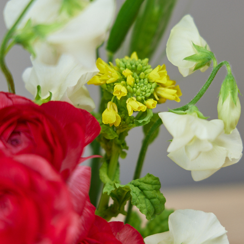 2 2 3到着 鬼は外 花 は内 Weekly Flower 2月3日は節分の日 ベースセット 青山フラワーマーケット公式 花屋 花 花束 フラワーギフト 通販