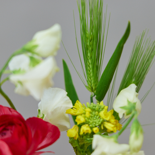 2 2 3到着 鬼は外 花 は内 Weekly Flower 2月3日は節分の日 ベースセット 青山フラワーマーケット公式 花屋 花 花束 フラワーギフト 通販