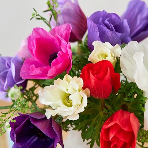 2 14 15到着 ビビットカラー Weekly Flower 信州諏訪のアネモネ モナリザ 12本 季節のグリーン 青山フラワーマーケット公式 花屋 花 花束 フラワーギフト 通販