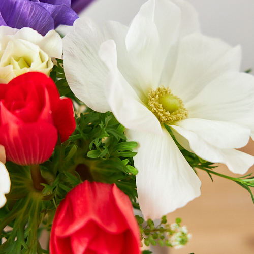 2 14 15到着 ビビットカラー Weekly Flower 信州諏訪のアネモネ モナリザ 12本 季節のグリーン 青山フラワーマーケット公式 花屋 花 花束 フラワーギフト 通販