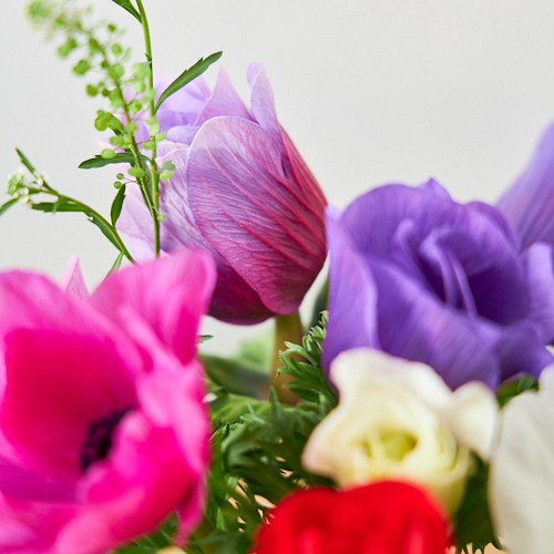 2 14 15到着 ビビットカラー Weekly Flower 信州諏訪のアネモネ モナリザ 12本 季節のグリーン 青山フラワーマーケット公式 花屋 花 花束 フラワーギフト 通販