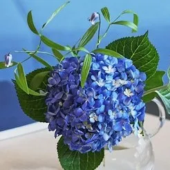 Season Flower アジサイとブルーの花S　【SERAX】KARAF 2°GLASSベースセット