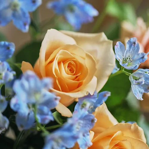 Season Flower ブルー×ベージュの花S 【Henry Dean（ヘンリーディーン）】/Julien　XS モッカナイト　ベースセット
