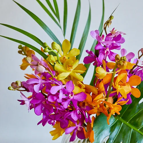7/7-7/8到着】20周年企画の第一弾 Season Flower 【送料込み