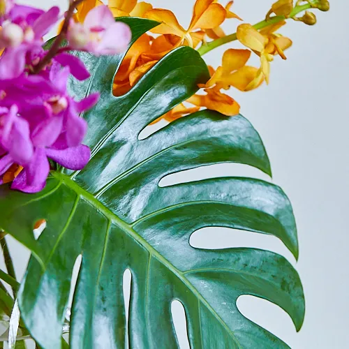 7/7-7/8到着】20周年企画の第一弾 Season Flower 【送料込み
