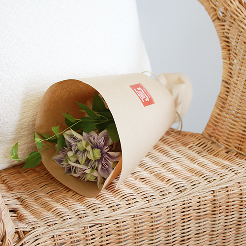 6/27-6/28到着】まさに妖精のような繊細な美しさ Season Flower 【希少