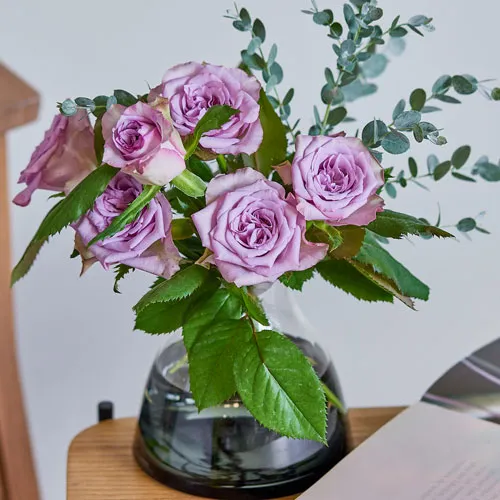 10/17-10/18到着】なかなか出会えない希少品種 Season Flower 【数量