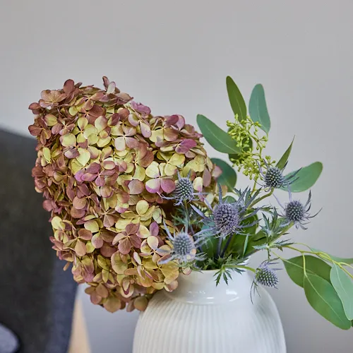 2.秋色水無月オーバルリース 生花】アジサイ 秋色ミナヅキ(ピンク)L