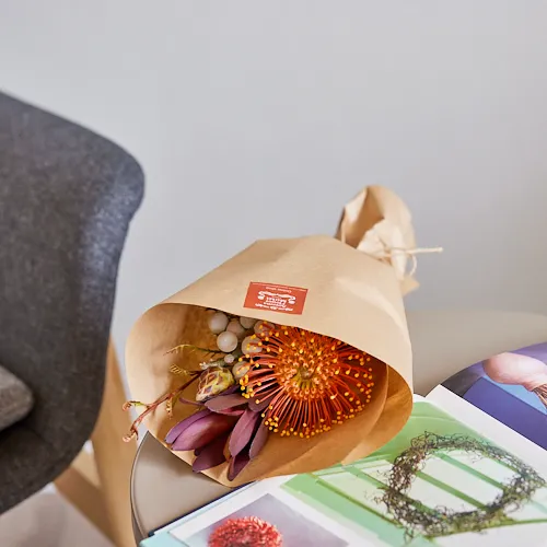 11/1-11/30到着】個性的なフォルムの花 Season Flower 旬のネイティブ