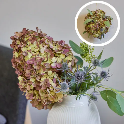 3.秋色水無月オーバルリース （ドライフラワー］紫陽花 秋色