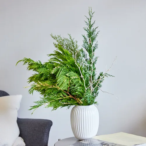 11/22-11/23到着】何通りも楽しみ方がある Season Flower【リース作り