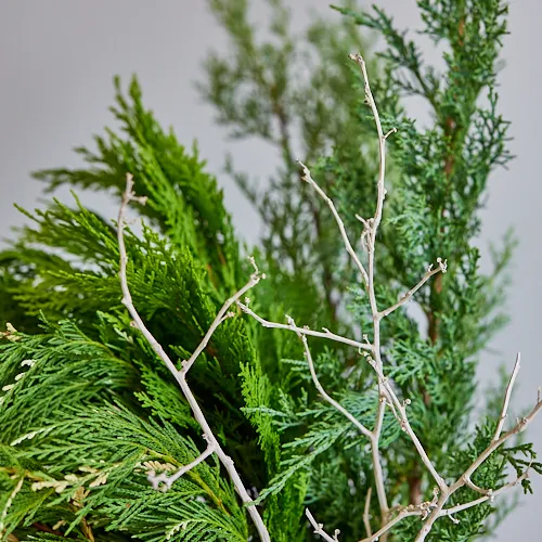 11/22-11/23到着】何通りも楽しみ方がある Season Flower【リース作り