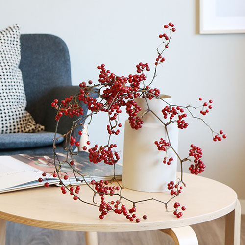 12/6-12/7到着】赤い実が冬に映える Season Flower【リース作りにも