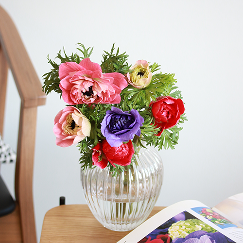 2月中旬以降～順次発送】見惚れる程のかわいさ！ Season Flower【希少