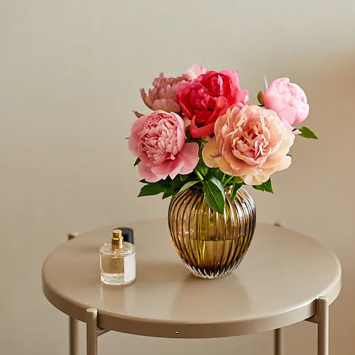 5月14日以降～順次お届け】希少！黒岩のシャクヤク Season Flower 黒岩