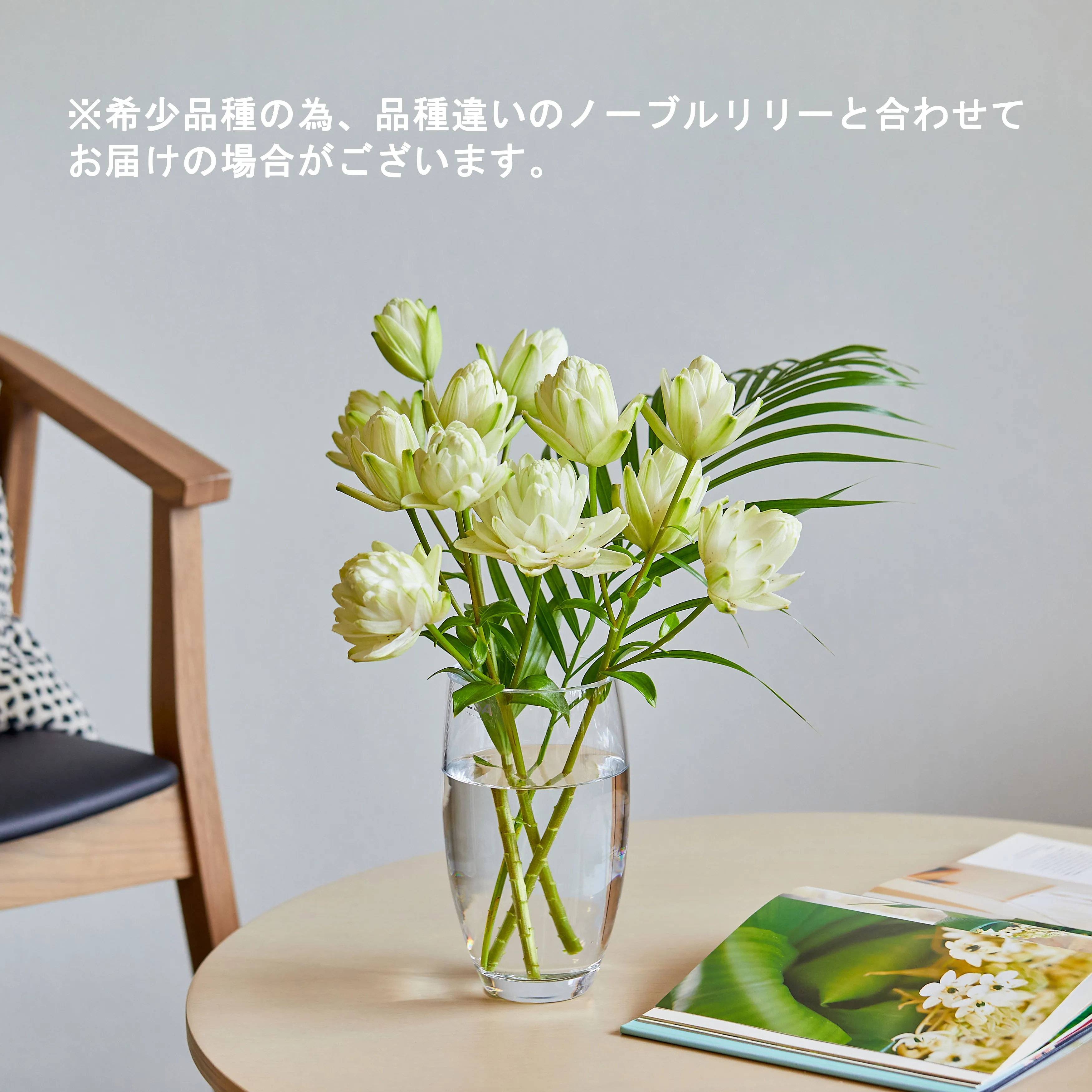 6/23-6/24到着】ミントグリーンところんとした花姿が魅力的 Season
