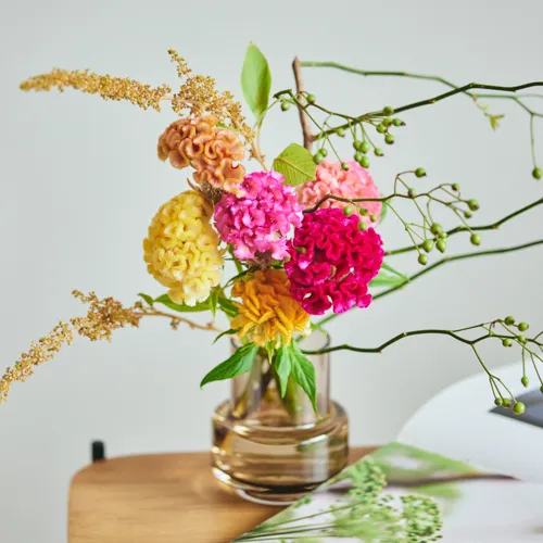 9/20-9/21到着】ユニークなフォルムが魅惑的 Season Flower