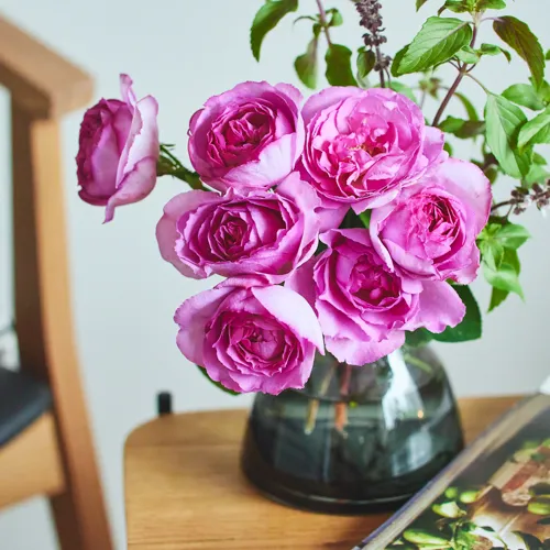 お値下げ済み即決価格✧ 青山フラワー✧ エダベース✧ 試しのみの新品同様