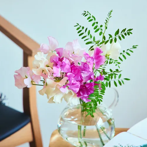 スイートピー | 青山フラワーマーケット | 青山フラワーマーケット