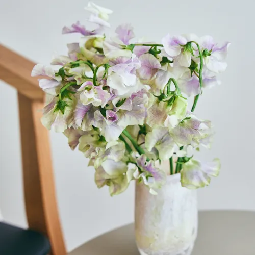 2月7日以降到着～順次発送】アンティーク感あふれる花 Season Flower