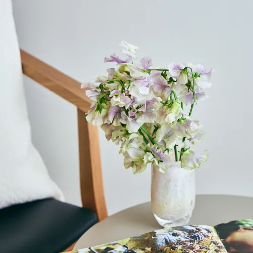 ✨年末お特MIX【B】ラナン スイートピー スターチス スワッグ 生花