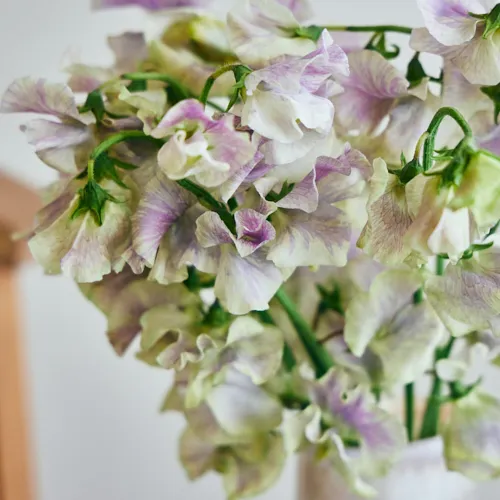 ✨年末お特MIX【B】ラナン スイートピー スターチス スワッグ 生花