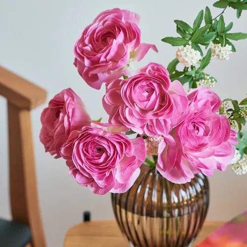 2/17-2/18到着】華やかに咲き誇る大輪の花 Season Flower【希少