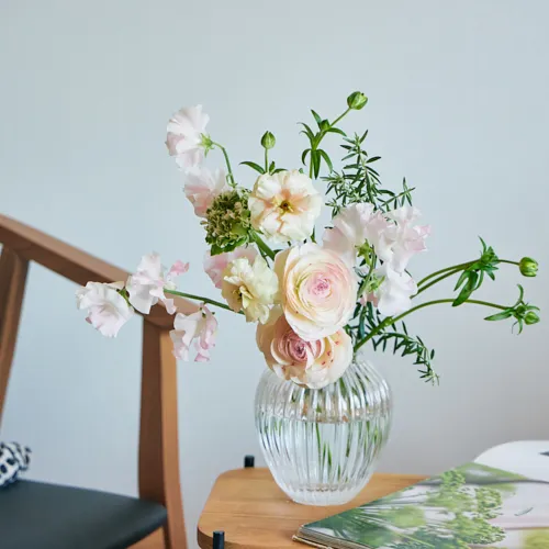 2/24-2/25到着】個性豊かな3種のラナンキュラスの魅力を満喫 Season