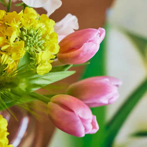 2/28-3/1到着】桃の節句を華やかに彩るー Season Flower 3月3日は