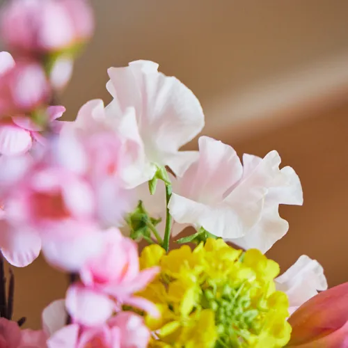 2/28-3/1到着】桃の節句を華やかに彩るー Season Flower 3月3日は