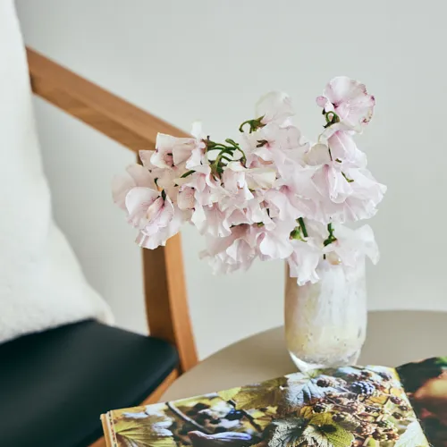 3月3日以降到着～順次発送】ノスタルジックで可憐な花で春を先取り