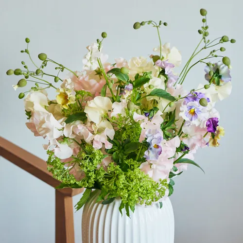 スイートピー | 青山フラワーマーケット | 青山フラワーマーケット