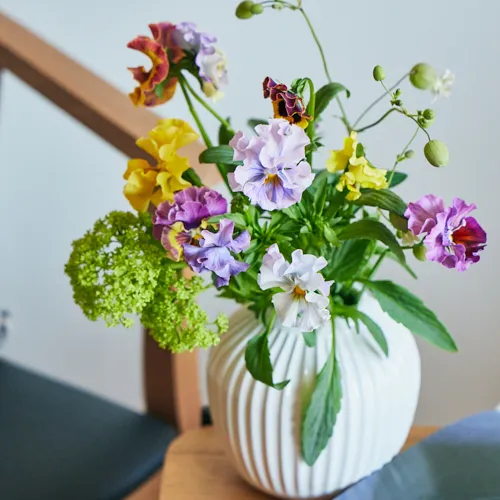 到着月で絞り込む | 青山フラワーマーケット｜花束・ギフトの