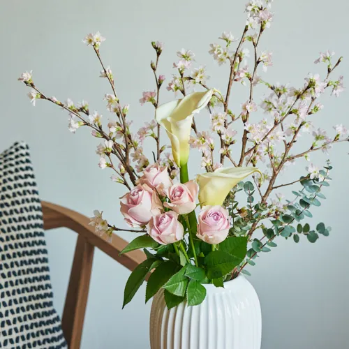 青山フラワーマーケット｜3.27さくらの日 | 青山フラワーマーケット