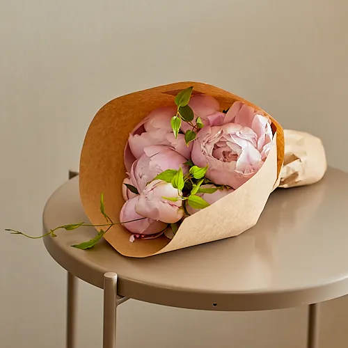 5/30-5/31到着】可愛く淡い八重のシャクヤク Season Flower JA中野市の