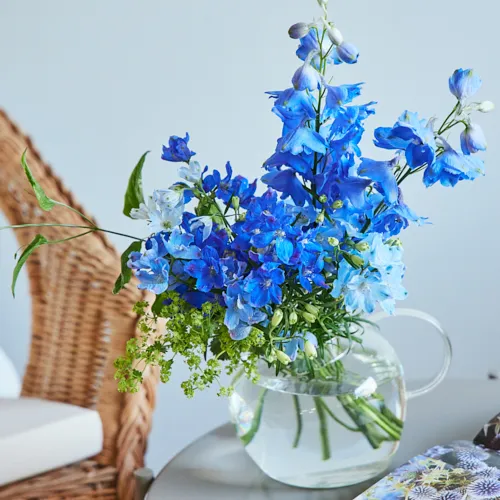 6/2-6/3到着】幻想的で凛とした花が主役 Season Flower 【送料込み