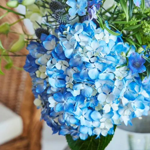 専用ページ　青花*3 サマー*1 6/3～6/30到着】涼やかな草花とともに季節を慈しむ Season Flower