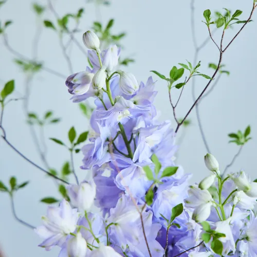 6/3～6/29到着】いつものインテリアを華やかに格上げ Season Flower