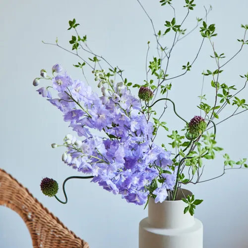 6/9-6/10到着】涼やかで華麗な花姿にうっとり Season Flower
