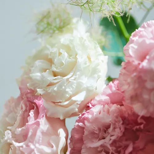 6/30-7/1到着】エレガントでボリュームあふれる花合わせ Season Flower
