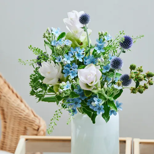 7/4-7/5到着】星空のような花々にクルクマをプラス Season Flower