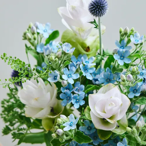 7/4-7/5到着】星空のような花々にクルクマをプラス Season Flower 7月7