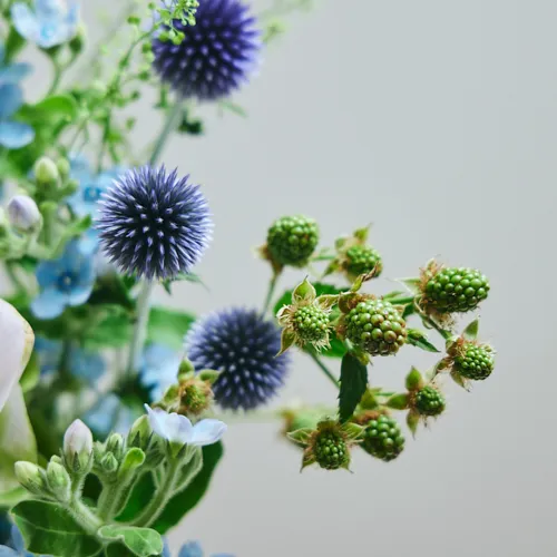 7/4-7/5到着】星空のような花々にクルクマをプラス Season Flower