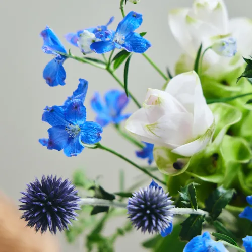 FOXEY Fleur お花　ブローチ　オーシャンブルー FOXEY Fleur お花 ブローチ オーシャンブルー FOXEY Fleur お花