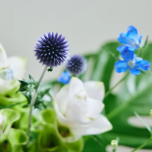 7/18-7/19到着】お部屋に涼やかな海辺の景色を Season Flower ＊7/20は