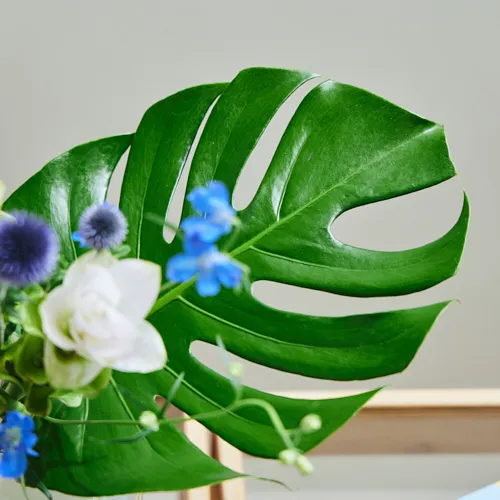 7/18-7/19到着】お部屋に涼やかな海辺の景色を Season Flower ＊7/20は