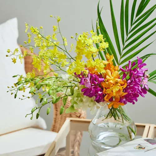 7/25-7/26到着】バラエティ豊かなラン×グリーン Season Flower 【送料