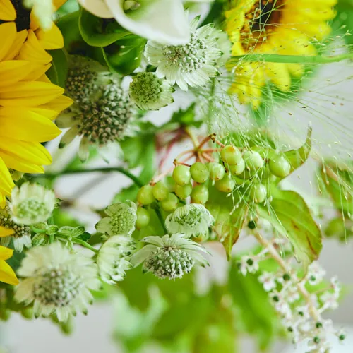 8/21～8/30到着】お部屋いっぱいの夏色で季節を感じて Season Flower