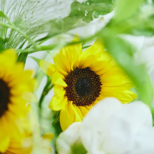 8/1～8/16到着】ボリュームあふれる夏の彩り Season Flower 【ベース
