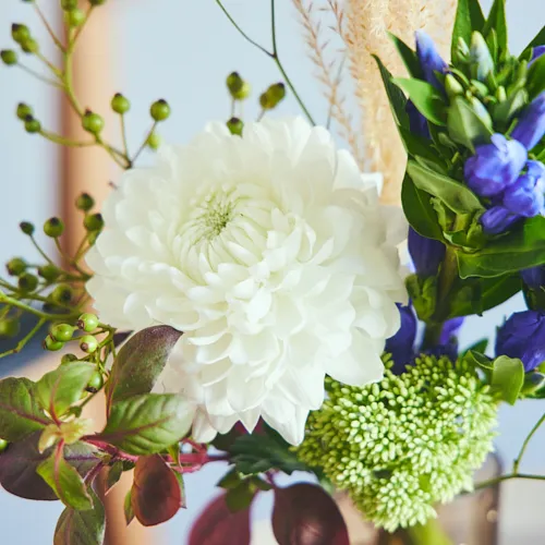 9/22-9/23到着】シックなカラーリングと存在感が魅力 Season Flower 9 